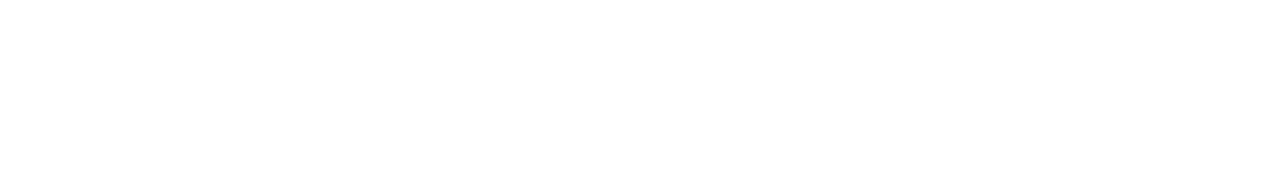 Logo-Speedy Road Riders LLC